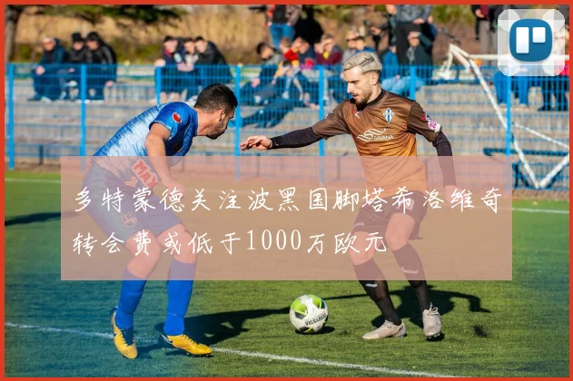 多特蒙德关注波黑国脚塔希洛维奇转会费或低于1000万欧元
